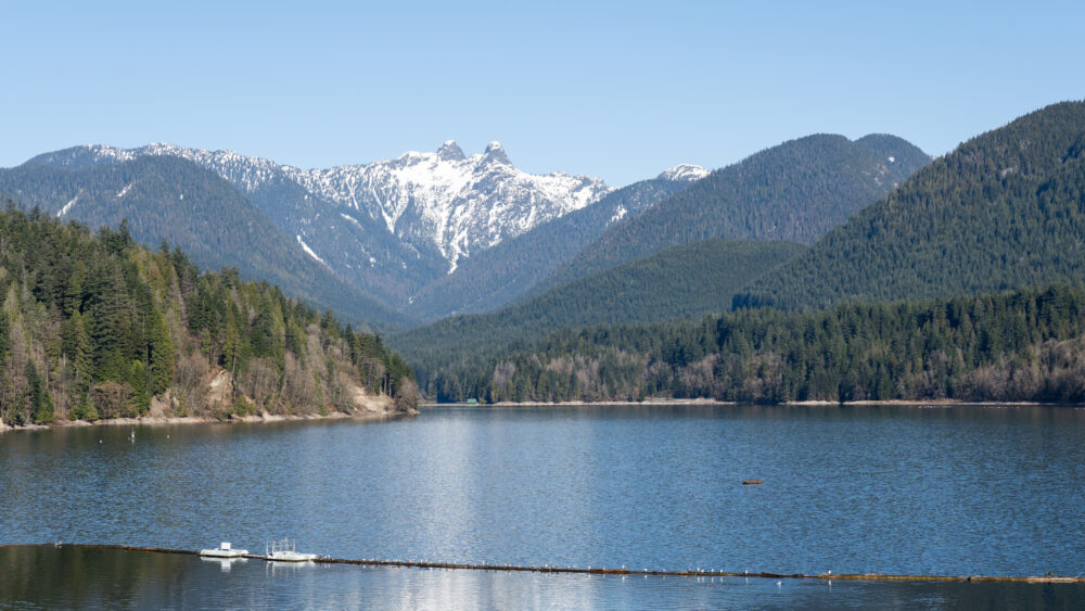 Vancouver Lake Regional Park